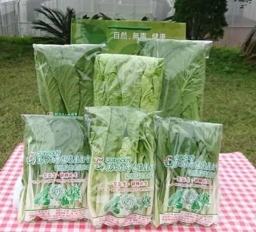 無毒 有機認證 蔬菜 