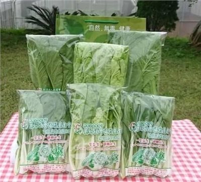 無毒 有機認證 蔬菜 